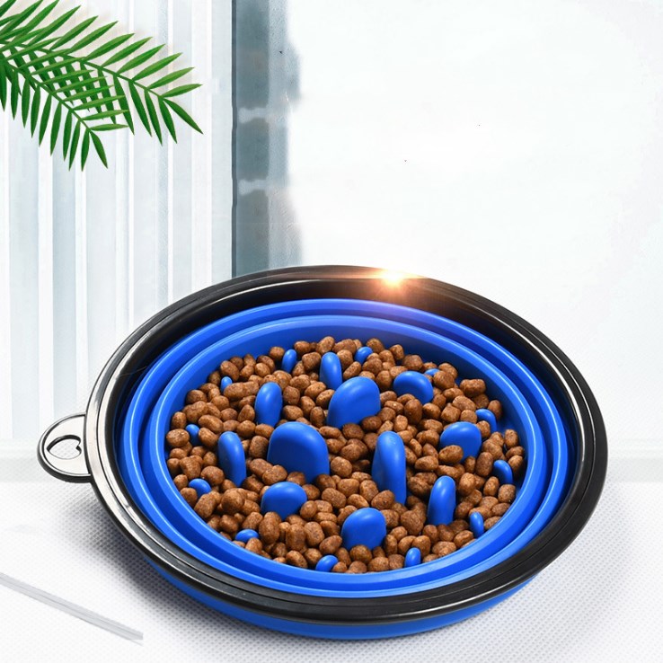 Collapsible pet bowl with blue interior filled with dog food on a white background