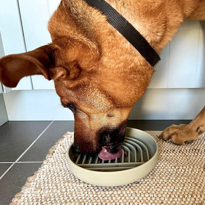 Slow Feeding Pet Bowl - Improve digestion